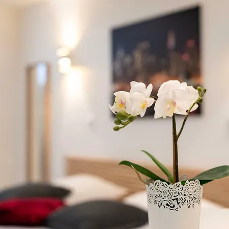 Citycosy - Hirtz Orangerie Strazburg
